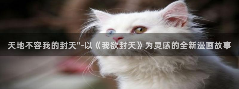 汗汗漫画免费无遮掩免费：天地不容我的封天\