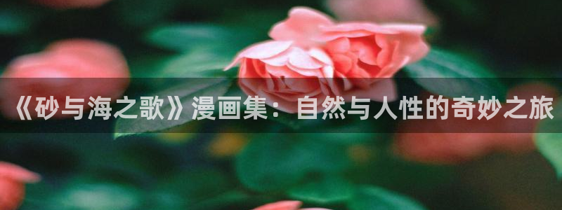 汗汗漫画 视频：《砂与海之歌》漫画集：自然与人性的奇妙之旅