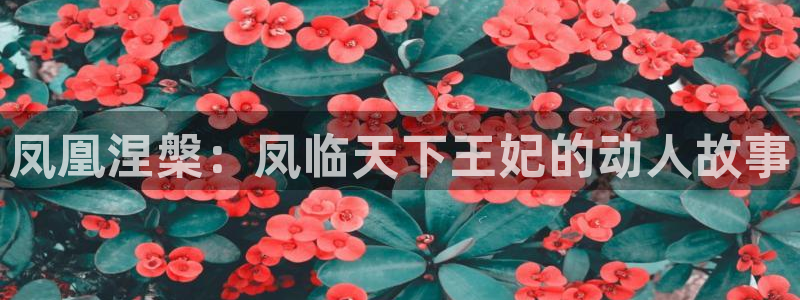 汗汗漫画韩漫首页：凤凰涅槃：凤临天下王妃的动人故事
